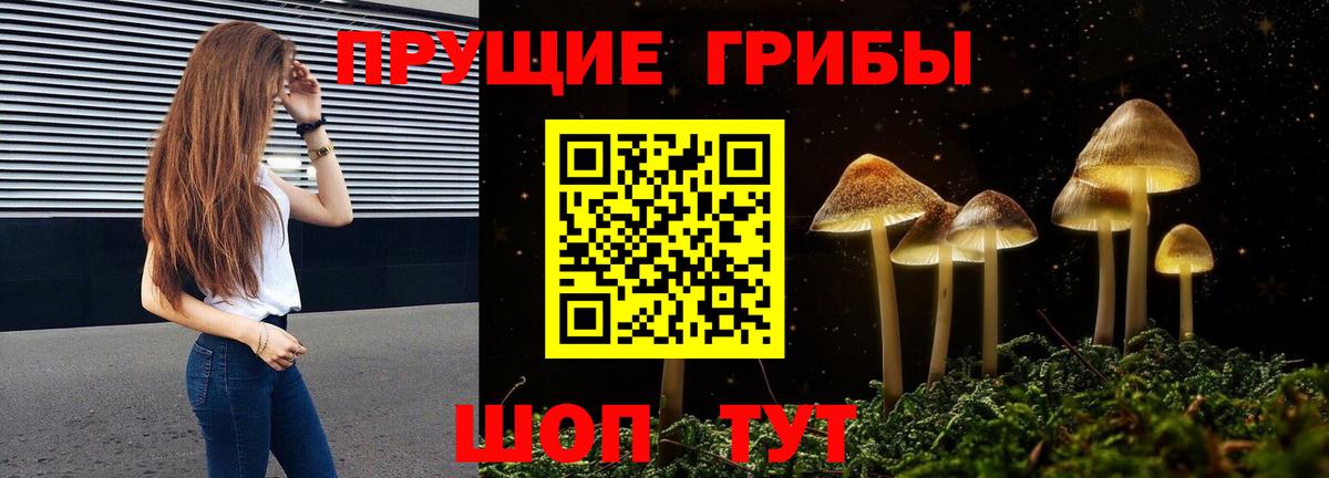 Галлюциногенные грибы MAGIC MUSHROOMS Курск